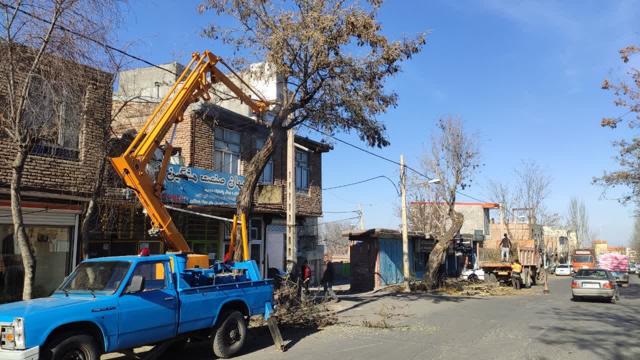 هرس و فرم دهی درختان سطح شهر با نظارت کارشناسان جهادکشاورزی و شهرداری انجام می شود .